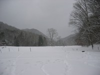 Field at the farm