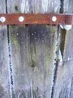 Hoar frost on the barn