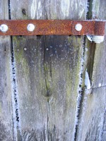 Hoar frost on the barn