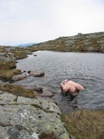 on top of Moslifjellet