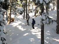 Sue and Doug in the trees