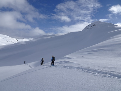 ElfBasin