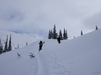 Skinning