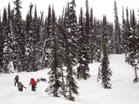 Skinning