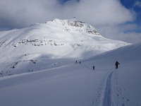 ElfBasin