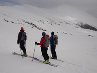 Skinning