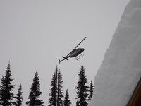 Heli