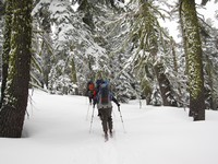 Near Ludlow hut