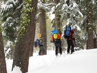 Above Echo Lake