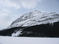 View from Peyto lake